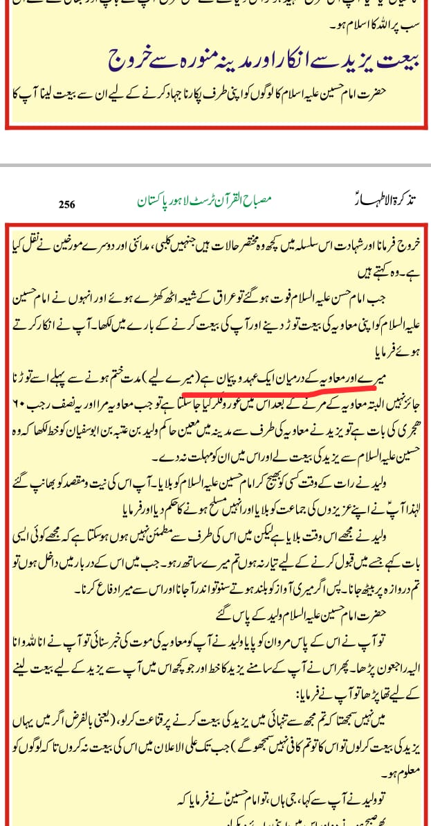مولا حسنؑ سے متعلق ناصبیوں کے الزامات کے جوابات
