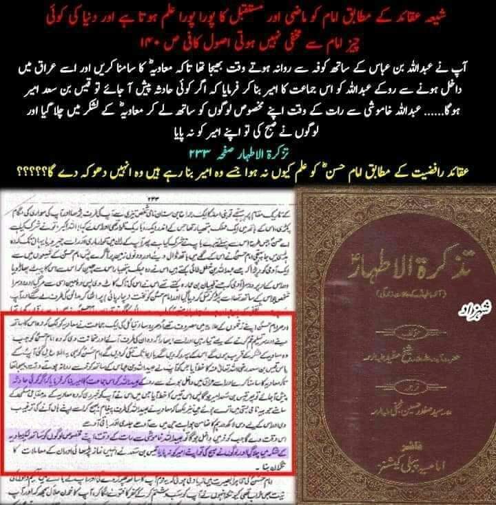 مولا حسنؑ سے متعلق ناصبیوں کے الزامات کے جوابات