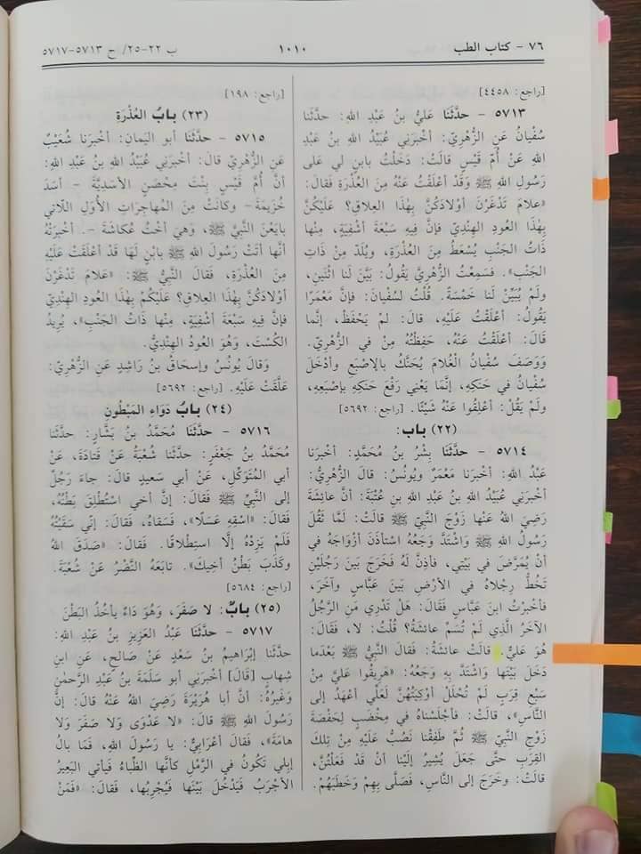 عائشہ کو مولا علی علیہ اسلام کا نام لینا بھی پسند نہیں تھا