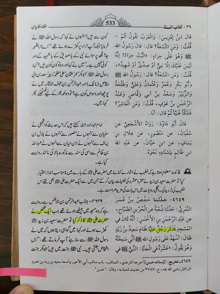 صحابی رسول ص مغیرہ ابن شعبه کا جناب امیر المومنین (ع) کو گا_لیاں دینا