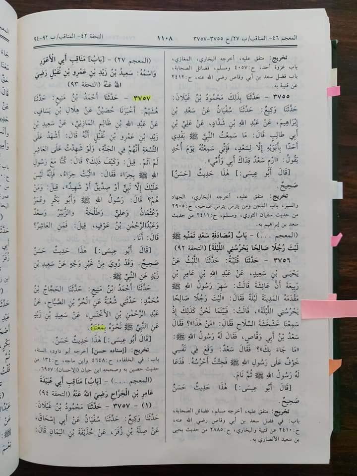 صحابی رسول ص مغیرہ ابن شعبه کا جناب امیر المومنین (ع) کو گا_لیاں دینا