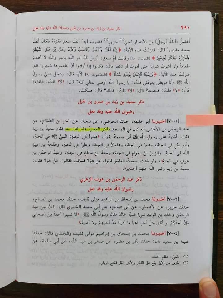 صحابی رسول ص مغیرہ ابن شعبه کا جناب امیر المومنین (ع) کو گا_لیاں دینا