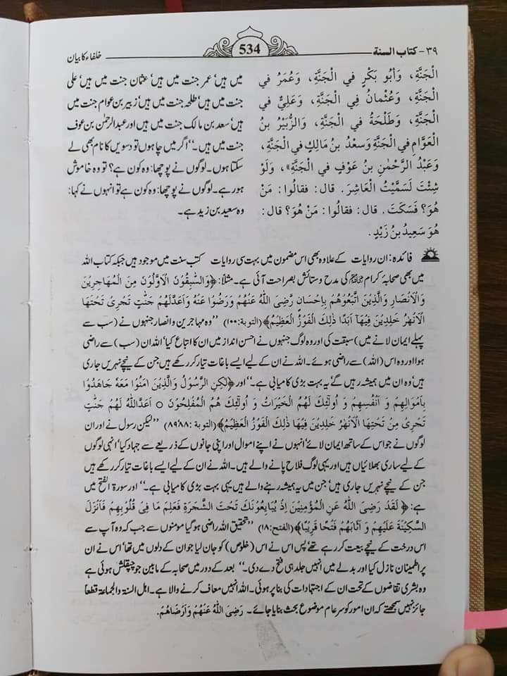 صحابی رسول ص مغیرہ ابن شعبه کا جناب امیر المومنین (ع) کو گا_لیاں دینا