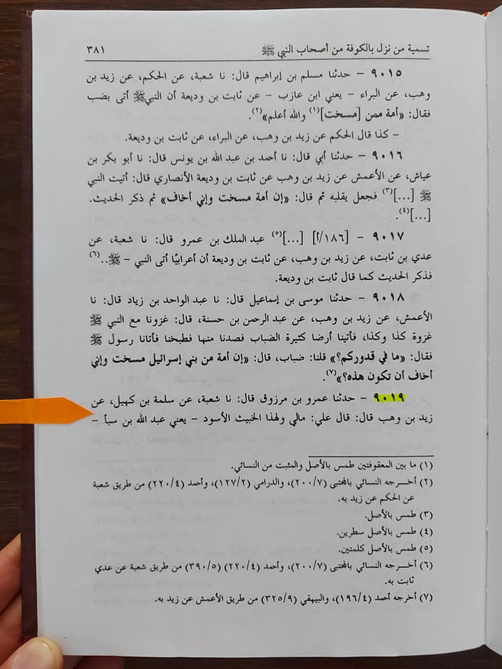 کیا عبداللہ ابن سبا شیعت کا بانی ھے ؟