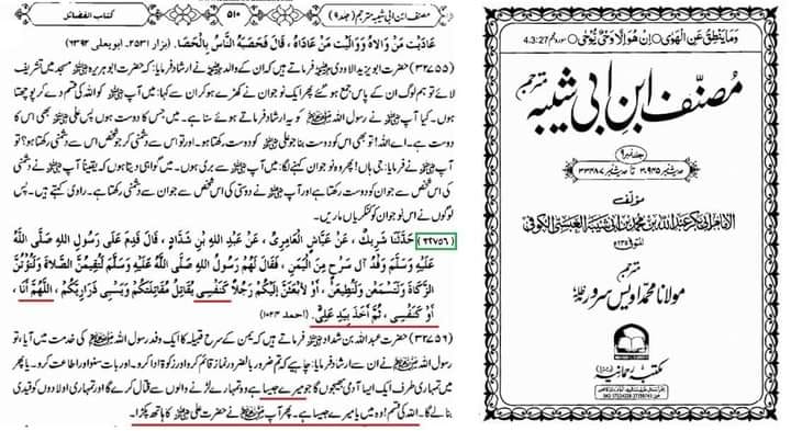 رسول الله (ص) نے مولا علی (ع) کو "اپنے جیسا" کہا