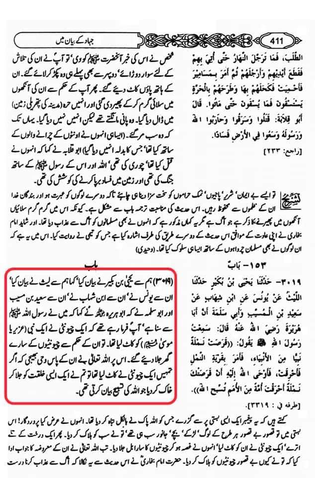 ابو ہریرہ