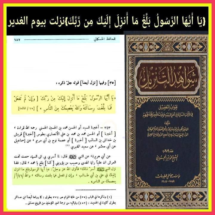 آیت تبلیغ امام علی ع کی شان میں نازل ہوئی