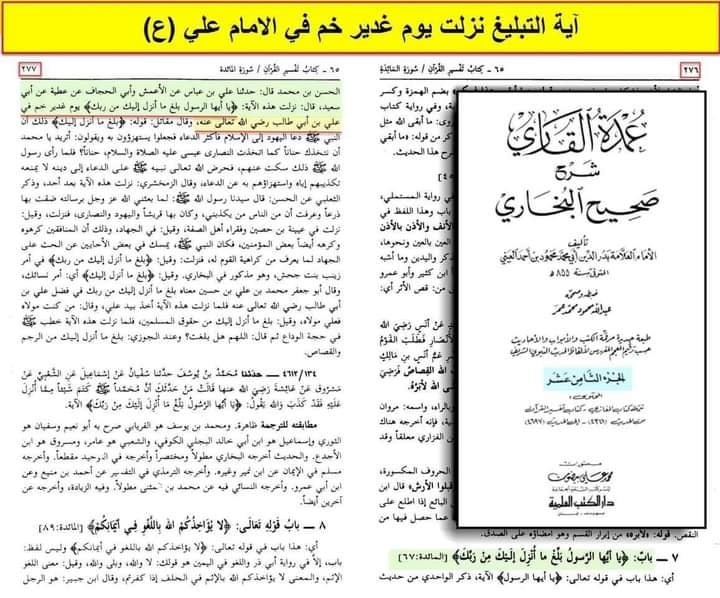 آیت تبلیغ امام علی ع کی شان میں نازل ہوئی