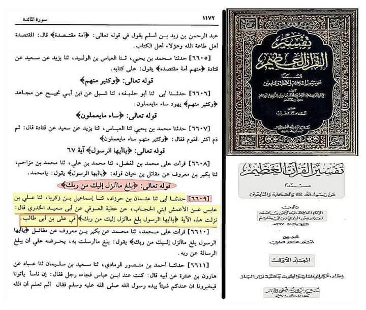 آیت تبلیغ امام علی ع کی شان میں نازل ہوئی