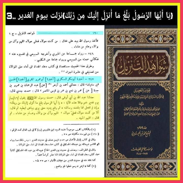 آیت تبلیغ امام علی ع کی شان میں نازل ہوئی