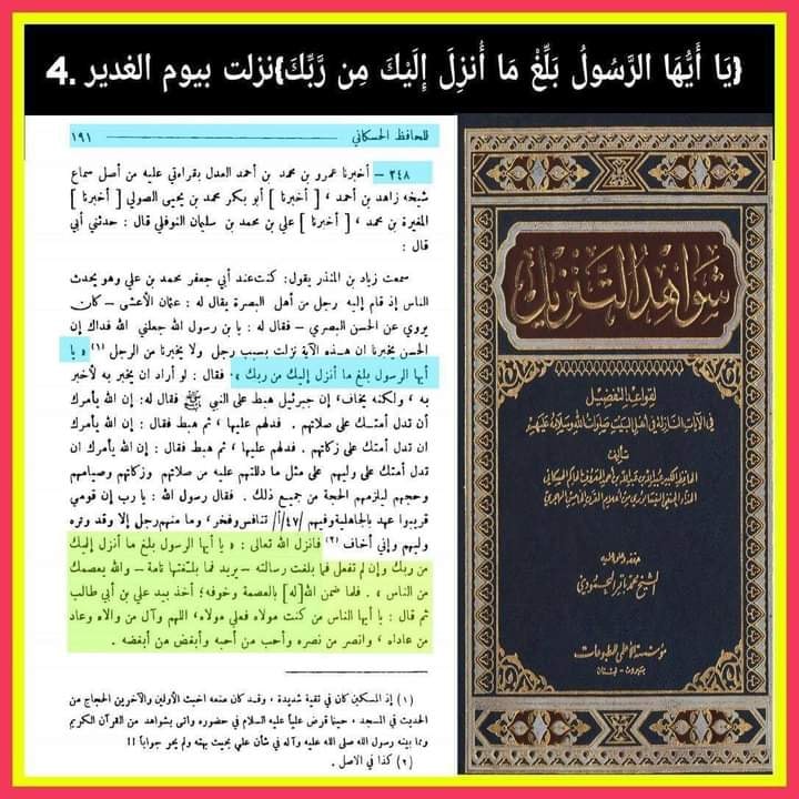 آیت تبلیغ امام علی ع کی شان میں نازل ہوئی