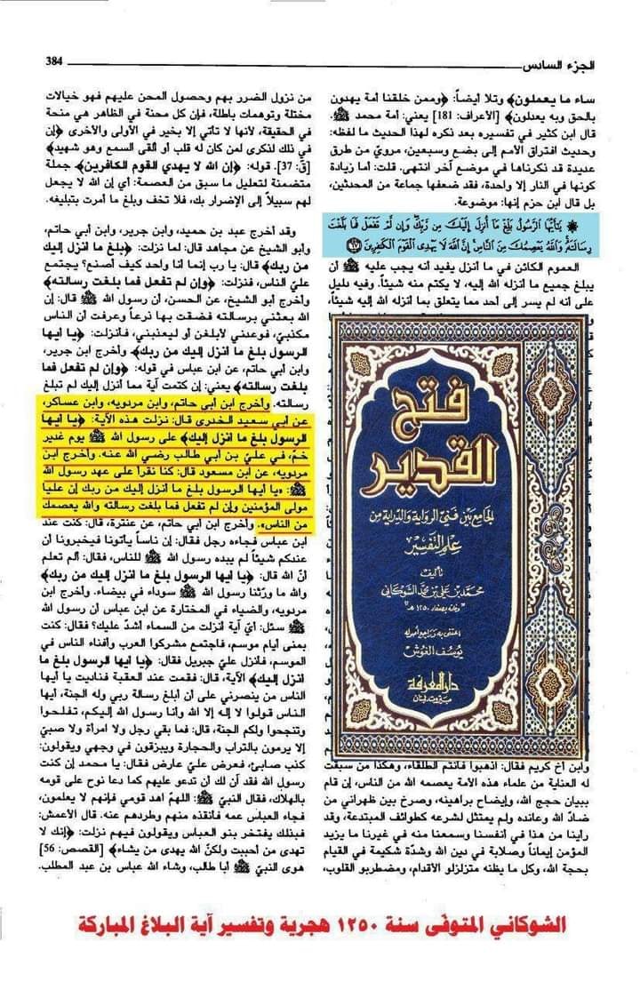 آیت تبلیغ امام علی ع کی شان میں نازل ہوئی