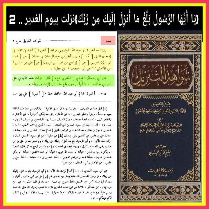 آیت تبلیغ امام علی ع کی شان میں نازل ہوئی