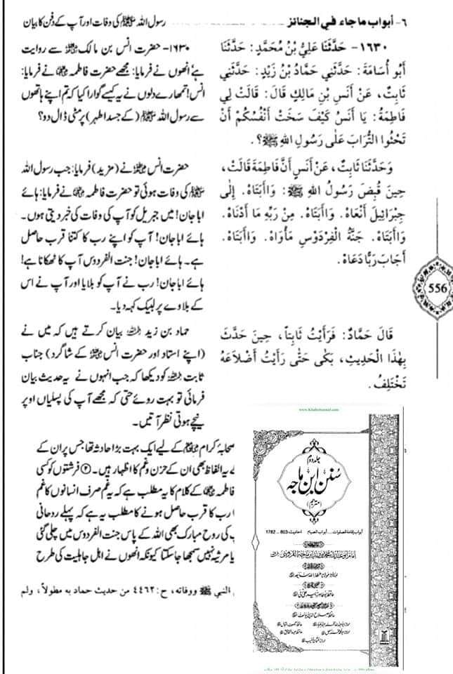 کتب اہل سنت سے دیگر حوالہ جات