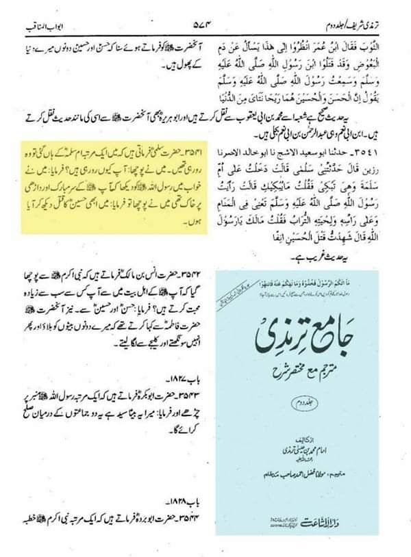 رسول اللّه ص یوم عاشورہ حالتِ عزاداری میں