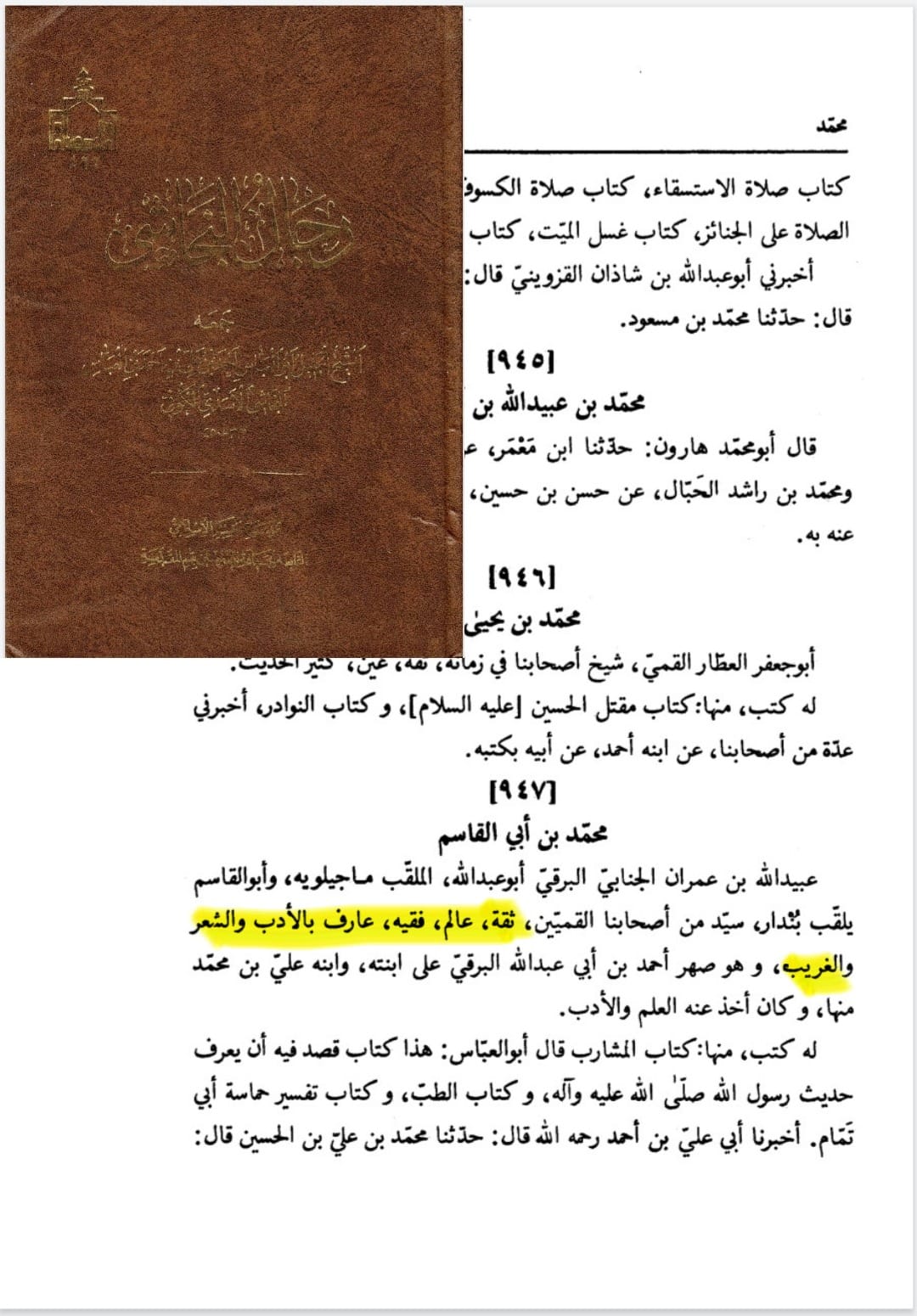 خطبہ شقشقیہ کی معتبر سند