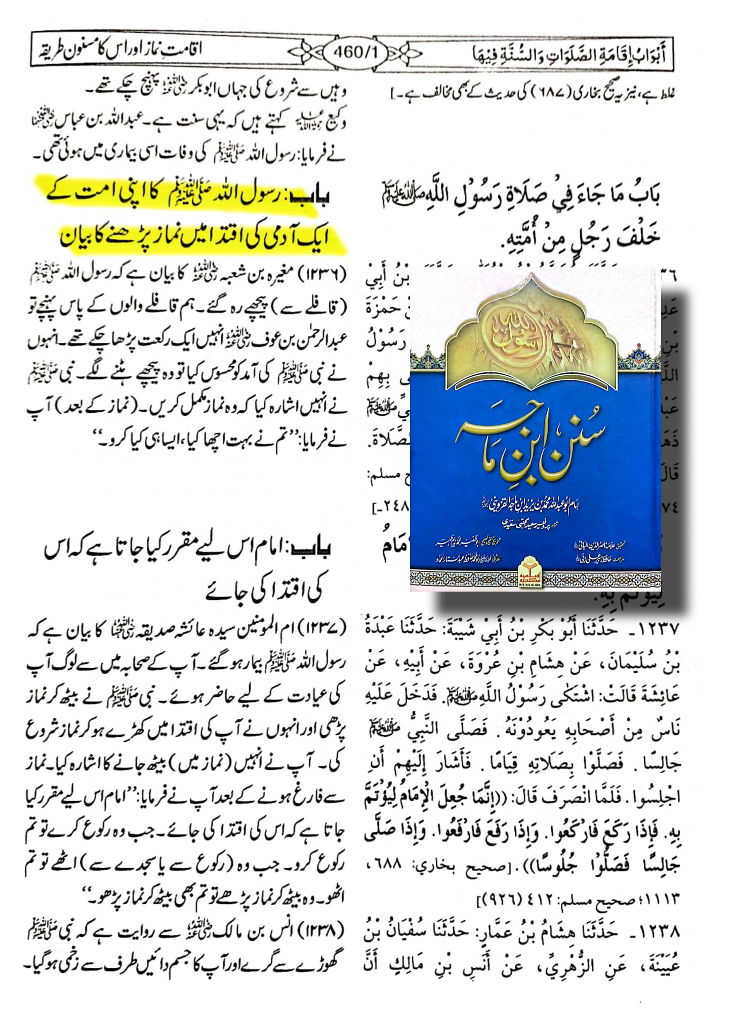 کیا مصلہ امامت نیابت رسول اللہ صلی اللہ علیہ وآلہ وسلم کی دلیل ہے ؟؟