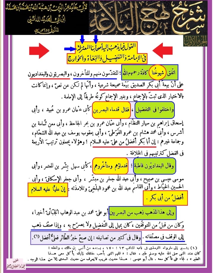کیا ابن ابی الحدید شیعہ تھا؟
