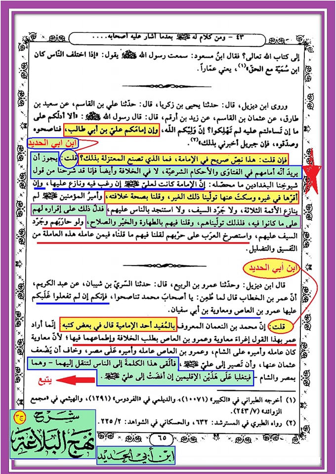 کیا ابن ابی الحدید شیعہ تھا؟