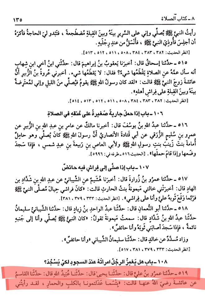 کیا شیعه کتب میں أمیرالمؤمنین ع کو معاذالله گدھا کہا گیا ہے