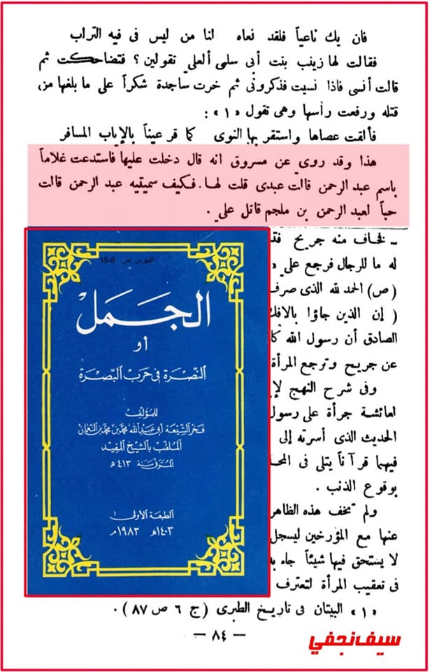 عائشہ کو مولا علی علیہ اسلام کا نام لینا بھی پسند نہیں تھا