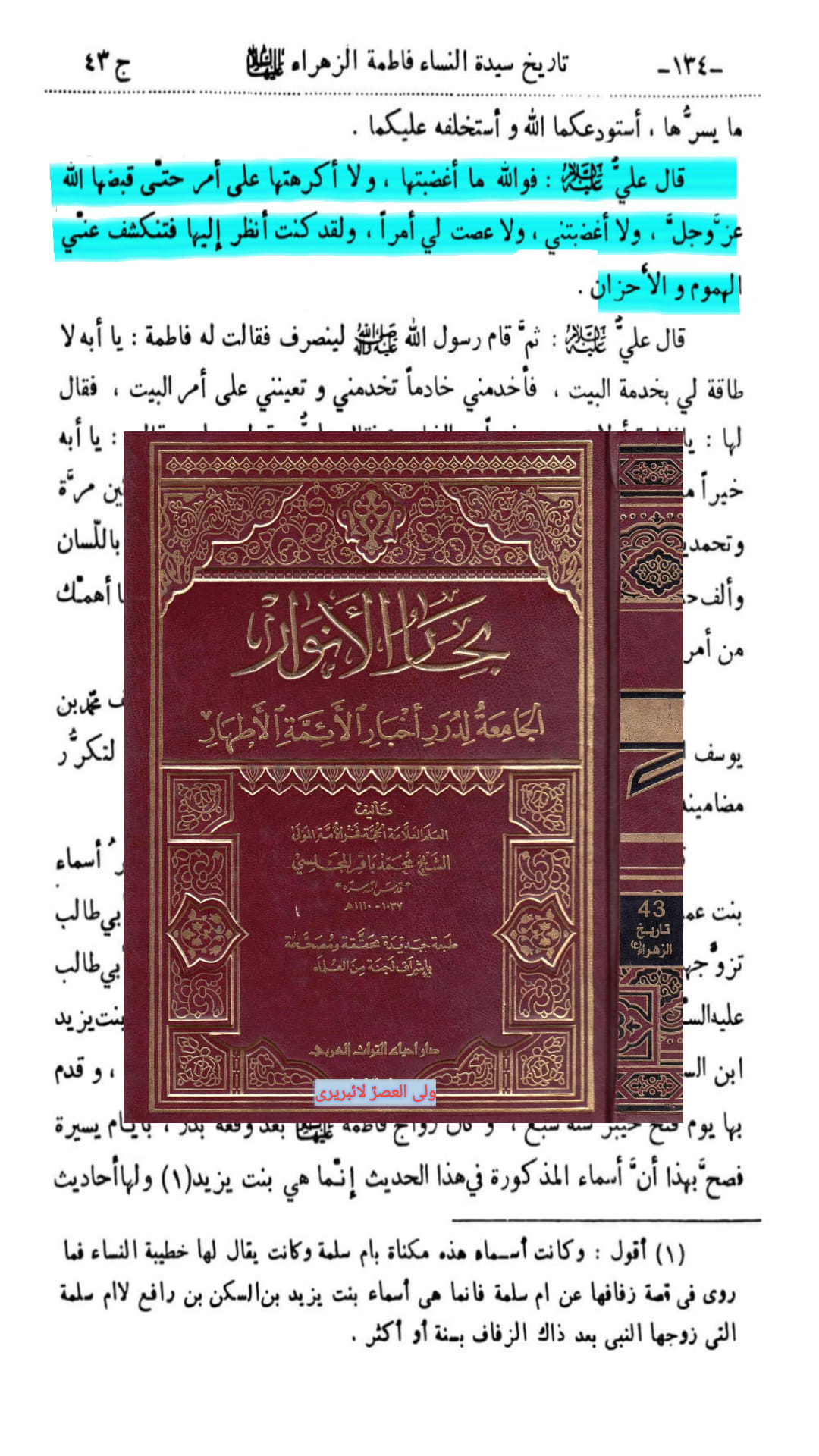 کیا سیدہ فاطمہؑ نے مولا سے کہا کہ تم بچہ کیطرح شکم مادر میں پردہ نشین ہوکر ذلیل لوگوں کیطرح بھاگ رہے ہو؟