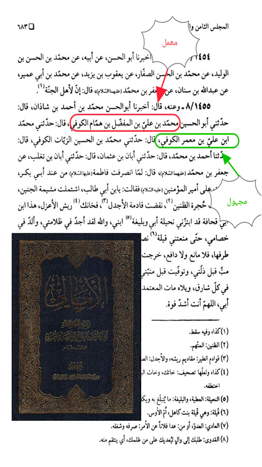 کیا سیدہ فاطمہؑ نے مولا سے کہا کہ تم بچہ کیطرح شکم مادر میں پردہ نشین ہوکر ذلیل لوگوں کیطرح بھاگ رہے ہو؟