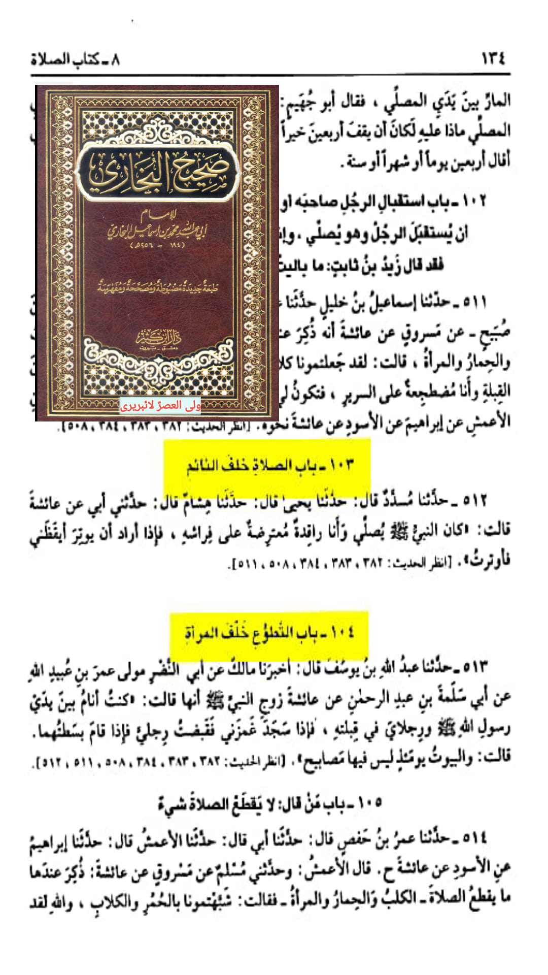 کیا مولا علیؑ نے جناب ابوبکر کی اقتداء میں نماز پڑھی؟