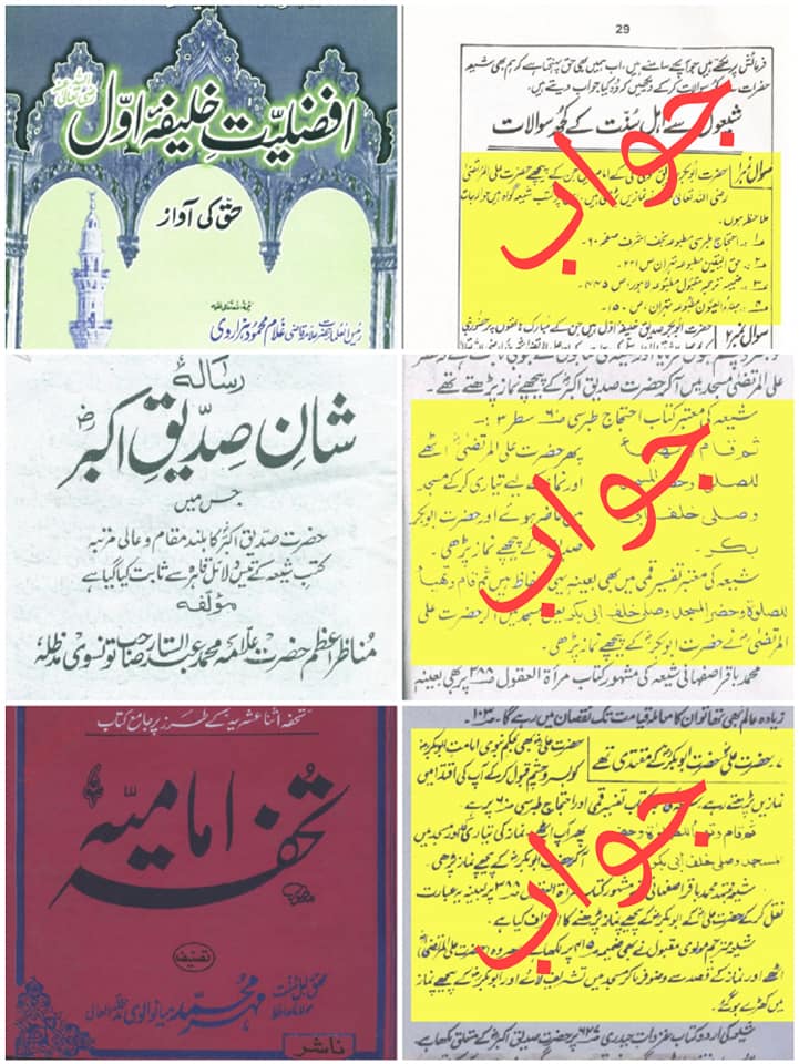 کیا مولا علیؑ نے جناب ابوبکر کی اقتداء میں نماز پڑھی؟