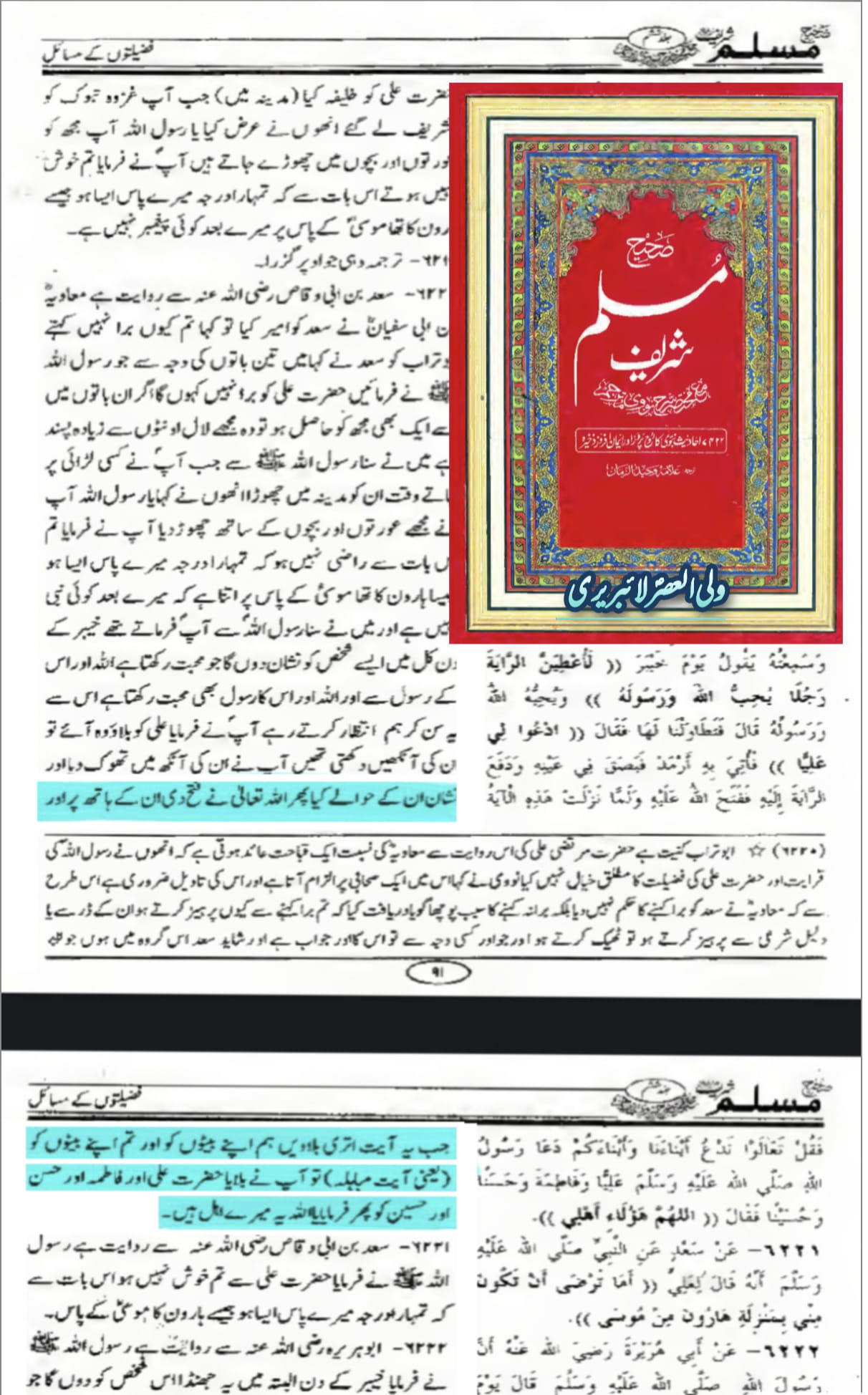 کیا مباہلہ میں ابوبکر، عمر، عثمان اور انکی اولادیں بھی شامل تھی؟