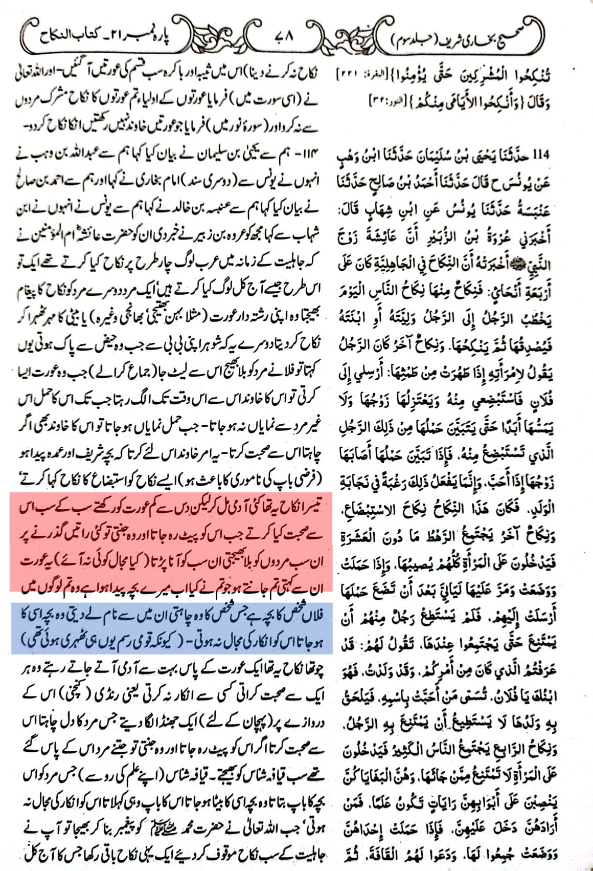 حضرت معاویہ کے والد کا تعین