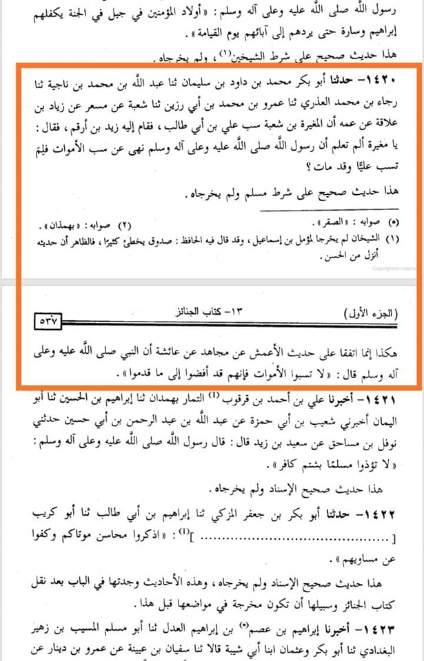 صحابی رسول ص مغیرہ ابن شعبه کا جناب امیر المومنین (ع) کو گا_لیاں دینا