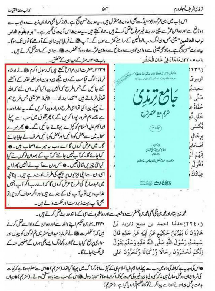صحابہ میں سے مؤمن صحابہ (رض) ہمارے سر کا تاج!