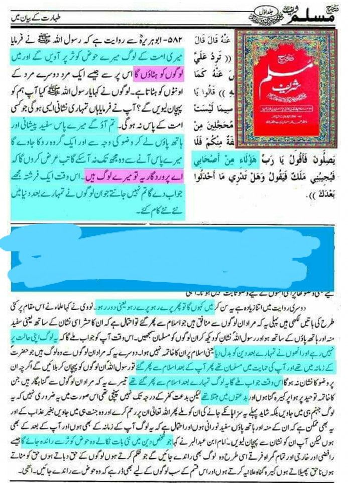 صحابہ میں سے مؤمن صحابہ (رض) ہمارے سر کا تاج!