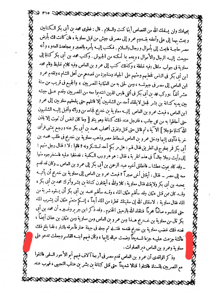 ام المومنین ع نے صحابی پر لعنت کی