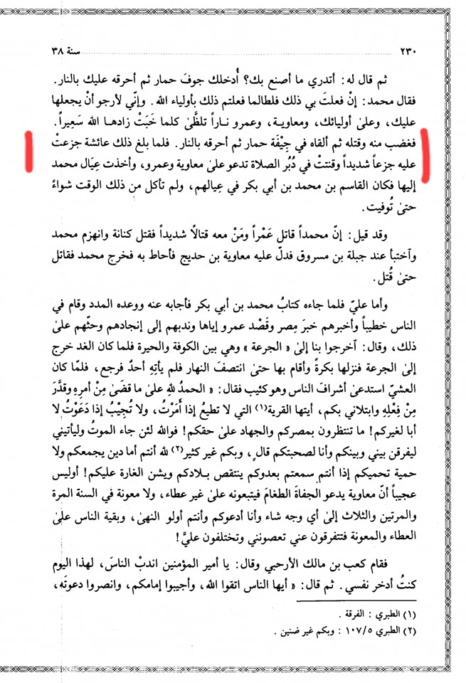 ام المومنین ع نے صحابی پر لعنت کی