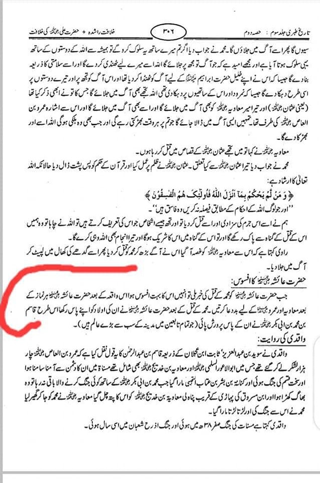 ام المومنین ع نے صحابی پر لعنت کی