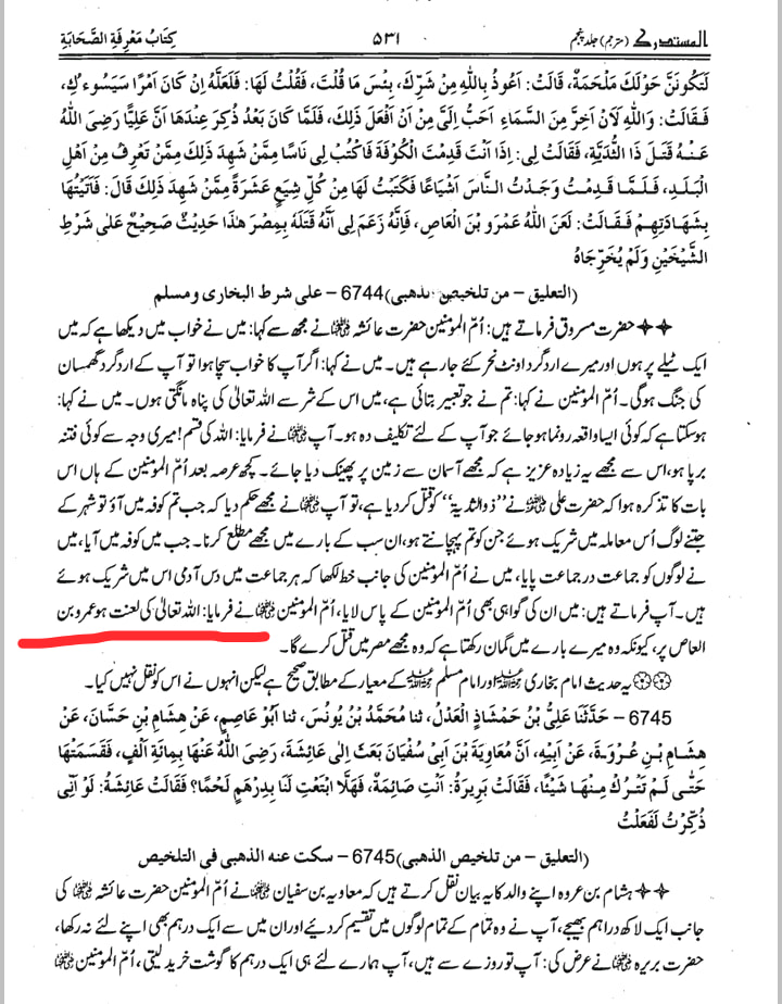 ام المومنین ع نے صحابی پر لعنت کی