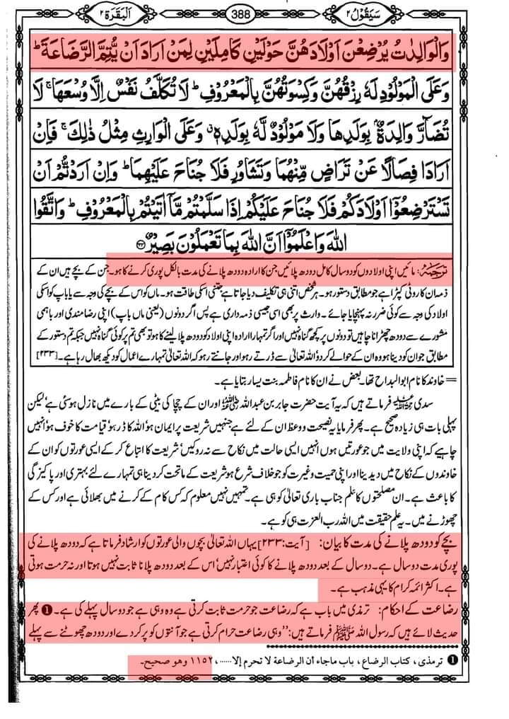 رضاعت کبیر