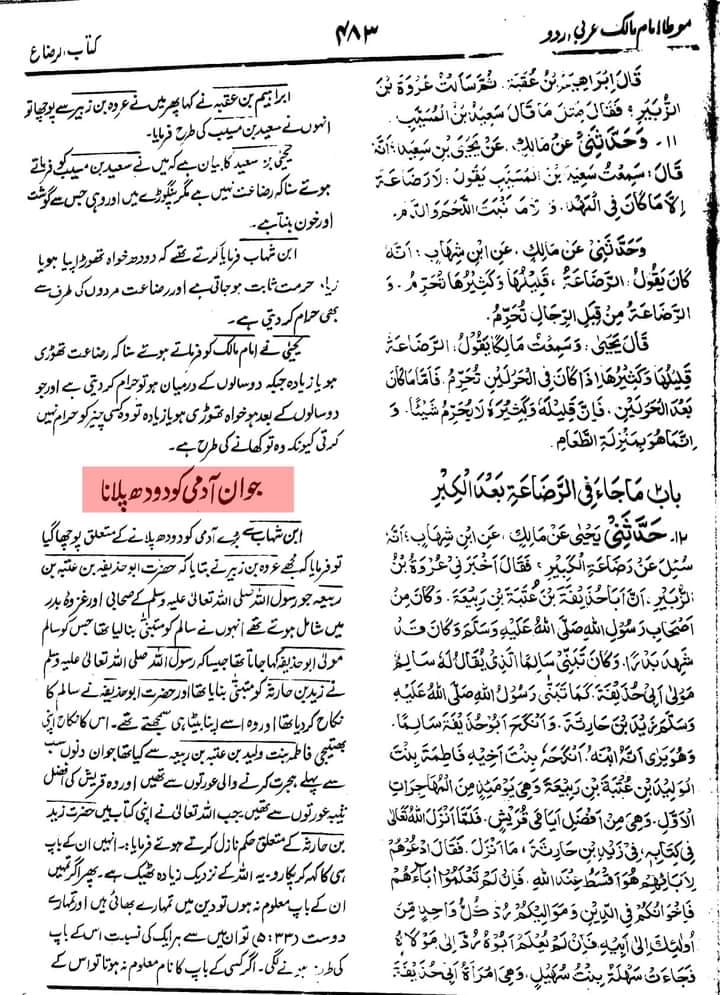 رضاعت کبیر