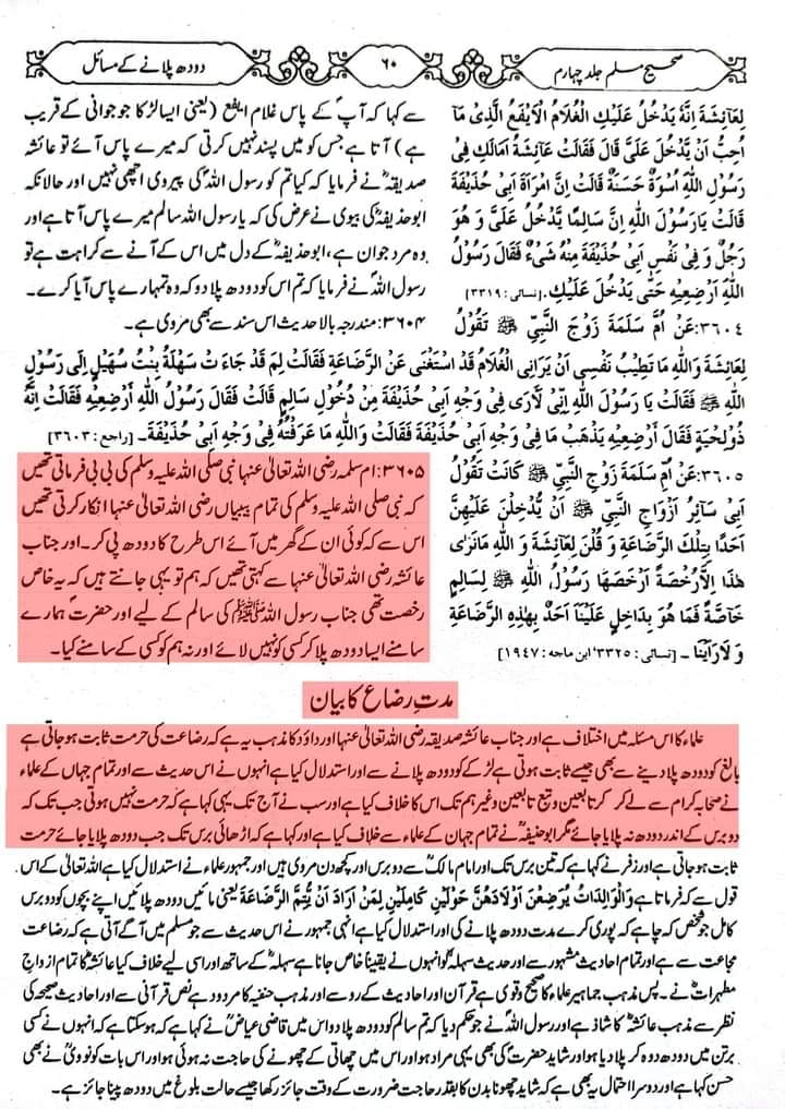 رضاعت کبیر