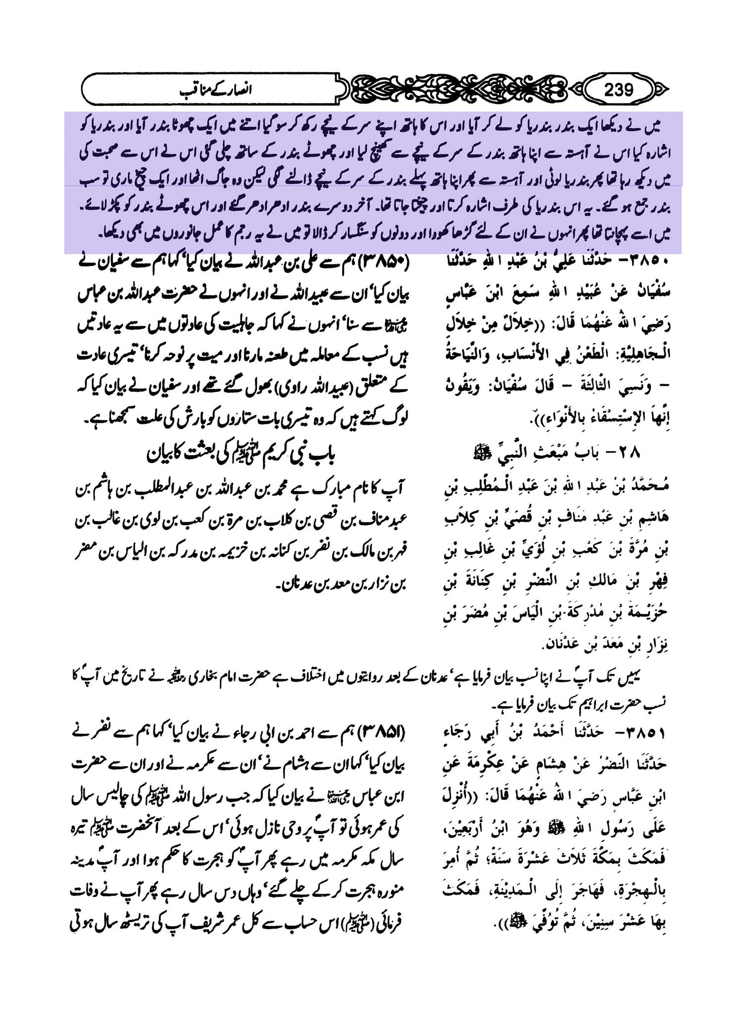 بندریا نے زنا کرایا
