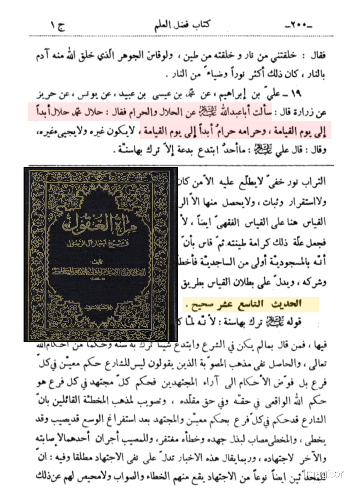 ابن تیمیہ کا شیعوں پر جھوٹ و بہتان