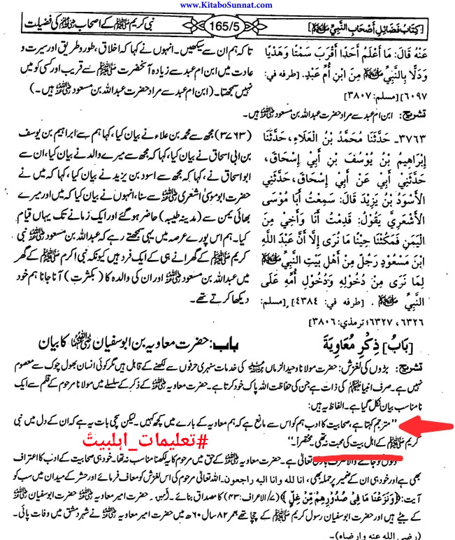 امام حسن ع نے فرمایا: اے معاویہ! ہم سے بغض رکھنا چھوڑ دے