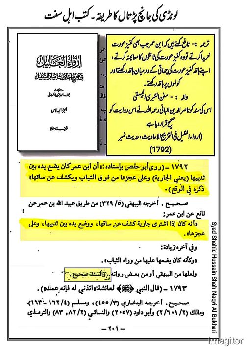 کیا قرب الاسناد میں امام علی (ع) کی گستاخی ہوی ہے