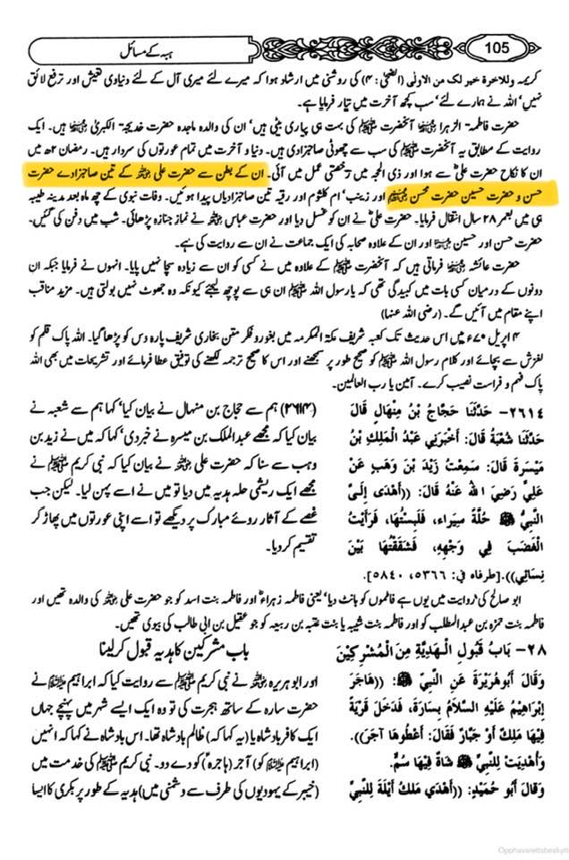 جناب سیدہ زھراء ص کے ٣ صاحب زادے تھے