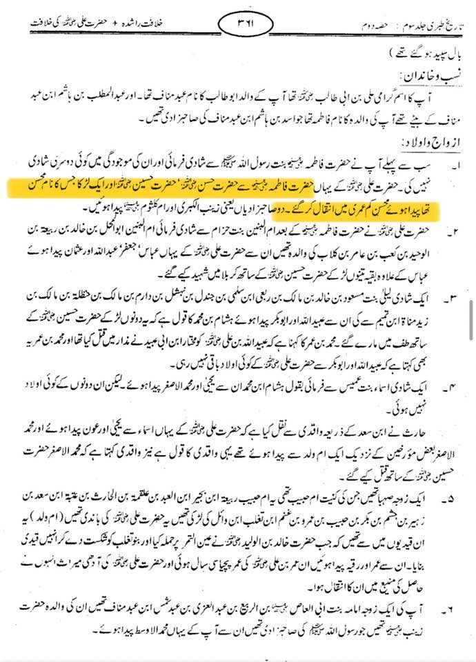 جناب سیدہ زھراء ص کے ٣ صاحب زادے تھے