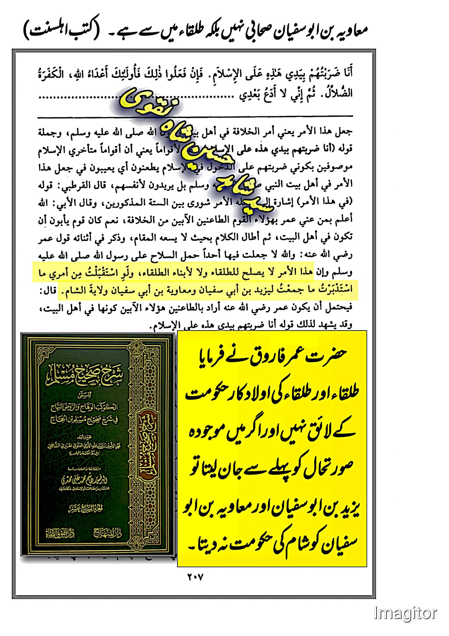 معاویہ بن ابوسفیان صحابی نہیں بلکہ طلقاء میں سے ہے