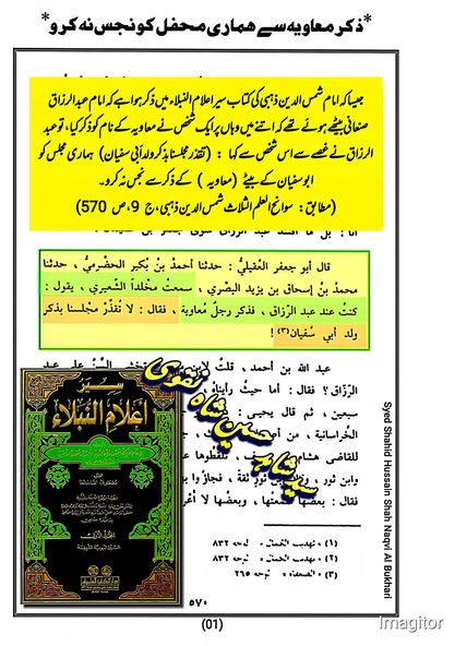 ذکر معاویہ سے ہماری محفل کو نجس نہ کرو۔