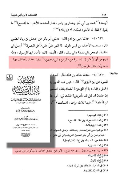 کیا حضرت عائشہ جنگِ جمل میں صلح کروانے گئی تھیں؟